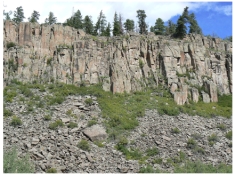 <strong>What is the dominant type of weathering is shown in this photograph? </strong> A)dissolution B)chemical weathering C)debris flow D)hydrolysis E)physical weathering