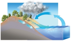 <strong>What concepts can be explained using this diagram? </strong> A)the movement of water between the oceans and the land B)how precipitation ends up in rivers or groundwater C)how weathering causes the seas to become saltier D)all of these