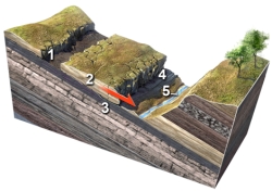 <strong>Which numbered feature on this figure is critical to enable a rock slide to start? </strong> A)1,a linear or curved scar marking where the slide pulled away from the hill B)2,small fractures within the sliding block C)3,layers,fractures,or some other discontinuity inclined downslope D)4,the front of the slide,where it overruns the land surface E)5,a valley or other open space in front of the slide