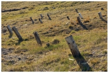 <strong>The type of slope failure shown in this photograph is: </strong> A)creep B)a rock slide C)a debris avalanche D)a debris flow E)all of these