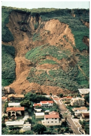 <strong>The landslide that destroyed La Conchita,as shown in this photograph,is probably: </strong> A)an example of creep B)an earth flow C)a rock fall D)a rock avalanche