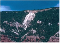 <strong>Which of the following might indicate that slopes adjacent to this landslide might fail? </strong> A)they have the same steepness as the slope that failed B)they appear to have a similar geology setting C)one part of the slope has already failed D)all of these