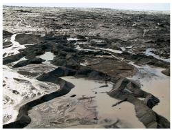 <strong>What do these curved ridges (eskers)record? </strong> A)ancient shorelines B)meltwater channels below or within a glacier C)soft glacial sediment shaped by the moving glacier D)glacially derived,wind-blown dust