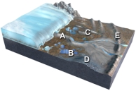 <strong>Which of the features labeled on this figure is a terminal or recessional moraine? </strong> A)A B)B C)C D)D E)E