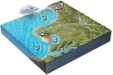 <strong>Which site will most likely experience rapid erosion? </strong> A)1,cliffs composed of hard rocks B)2,sediments in a delta C)3,the seafloor deep beneath the waves D)4,the coastline of a bay E)5,the coastline in a branching embayment