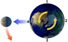 <strong>With the Moon in this position,which area will experience low tide? </strong> A)1 B)2 C)3 D)1 and 3 E)2 and 4