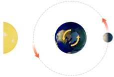 <strong>With the Sun and Moon in this position,what does the side of the earth facing the moon experience? </strong> A)a normal high tide B)a normal low tide C)a spring tide D)a neap tide