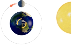 <strong>With the Sun and Moon in this position,what does the side of the earth facing the moon experience? </strong> A)a normal high tide B)a normal low tide C)a spring tide D)a neap tide