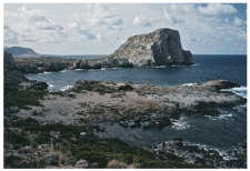 <strong>What does this wave-cut platform indicate? </strong> A)a rise of sea level relative to the land B)a lowering of sea level relative to the land C)movement of a large thrust fault D)scouring of the land surface by a tsunami
