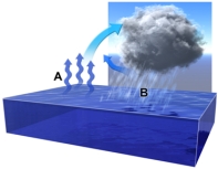 <strong>What is the relationship between water vapor at point A and water droplets at point B? </strong> A)warm vapor at A is caused by the heat released in condensation at point B B)warm vapor at A is likely not related to condensation at point B C)warm vapor at A causes cooling and condenses to liquid water at point B D)water evaporates at point A,rises,and then cools and condenses at point B E)vapor and water droplets are the behaving the same way