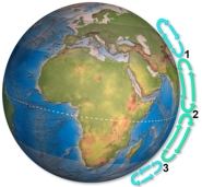 <strong>Arrows on this figure shows flow cells in the atmosphere.Which area(s)would experience heavy precipitation,as results in rain forests? </strong> A)1 B)2 C)3 D)1 and 2 E)1 and 3