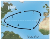 <strong>For these ocean currents in the Atlantic,which of these currents is mostly likely to be a warm current? </strong> A)1 B)2 C)3 D)both 1 and 3 E)both 2 and 4