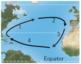 <strong>For these ocean currents in the Atlantic,which of these currents is mostly likely to be a cold current? </strong> A)1 B)3 C)4 D)both 1 and 3 E)both 2 and 4