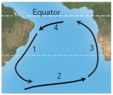 <strong>For these ocean currents in the South Atlantic,which of these currents is mostly likely to be a warm current? </strong> A)1 B)2 C)3 D)both 1 and 3 E)both 2 and 4