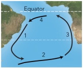 <strong>For these ocean currents in the South Atlantic,which of these currents is mostly likely to be a cold current? </strong> A)1 B)3 C)4 D)both 1 and 3 E)both 2 and 4