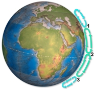 <strong>Arrows on this figure shows flow cells in the atmosphere.Which area(s)would most likely be a desert? </strong> A)1 B)2 C)3 D)1 and 2 E)1 and 3