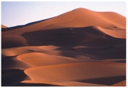 <strong>The sand dunes shown in this photograph: </strong> A)are isolated and have well-defined crescent shapes B)formed in a wet climate based on their shape C)are part of a complex dune field D)are loess deposits E)are inactive because they have been eroded by running water