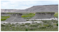 <strong>These pillars are remnants of layers,most of which have been stripped away by wind erosion.If this occurred in less than five years you might reasonably conclude that: </strong> A)the pillars are remnants of volcanic necks B)this area recently has become a productive place to produce agriculture C)there must have been drought,overgrazing,or some short-term climatic change D)this area was originally a lake