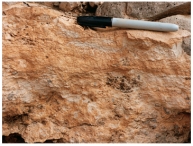 <strong>This photograph shows an accumulation of calcium carbonate in the soil.What desert feature is it? </strong> A)alluvial fan B)playa C)caliche D)desert wash E)natural stain