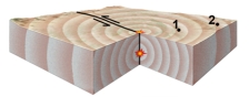 <strong>What do the two stars near the center of this block represent? </strong> A)the location of the earthquake B)the star at depth is the place where the earthquake is generated C)the star at depth is the hypocenter D)the star on the surface is the epicenter E)all of these