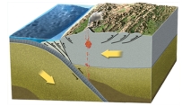 <strong>Most large earthquakes on subduction zones occur because of: </strong> A)warming of cold oceanic crust B)melting of cold oceanic crust C)melting of the mantle D)energy released in erupting volcanoes E)faulting along the plate boundary