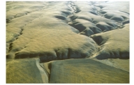 <strong>What feature suggests that this is a strike-slip fault rather than some other kind of fault? </strong> A)the presence of a fault scarp B)the soft appearance of the landscape C)the horizontal offset of the drainage channel D)differences in vegetation across the fault E)the lack of human development