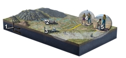 <strong>Which observations would tell you the most about the geometry of rock layers deep in the subsurface? </strong> A)the mine shaft into granite (1) B)a seismic reflection survey (2) C)a shallow drill hole (3) D)a magnetic survey (4) E)gravity survey (5)