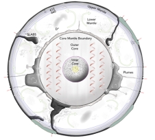 <strong>This model of flow within Earth predicts that: </strong> A)subducted plates pile up on the core-mantle boundary B)material rises near the core-mantle boundary C)cold material is more dense and sinks D)hot material is less dense and rises E)all of these