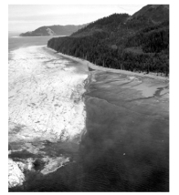 <strong>This photograph from the 1964 Alaskan earthquake shows a white area of seafloor that was uplifted during the event.What does this observation specifically suggest about how the earthquake might cause damage? </strong> A)areas on land could be affected by liquefaction B)areas on land could experience landslides C)this earthquake could have caused a tsunami because it offset the seafloor D)the earthquake could have caused fires because it released sulfur-dioxide gas
