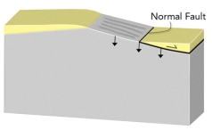 <strong>If you had this type of deformation of a region,it would: </strong> A)thicken the crust and cause subsidence B)thicken the crust and cause uplift C)thin the crust and cause subsidence D)thin the crust and cause uplift E)none of these