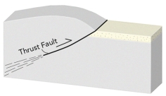 <strong>If you had this type of deformation of a region,it would: </strong> A)thicken the crust and cause subsidence B)thicken the crust and cause uplift C)thin the crust and cause subsidence D)thin the crust and cause uplift E)none of these