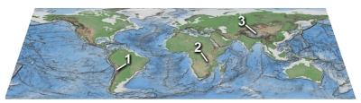 <strong>Which of these regions is high because of mantle upwelling near a continental rift? </strong> A)1,Andes of South America B)2,East Africa C)3,Tibet D)none of these
