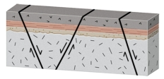 <strong>What will happen during movement on these normal faults? </strong> A)the crust will thicken and the region will be uplifted B)the crust will thin and the region will be uplifted C)the fault blocks will rotate in the same direction,like books sliding on a shelf D)the blocks will be uplifted or downdropped with only minor rotation