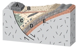<strong>The basin shown in this figure was actively subsiding during the formation of unit: </strong> A)A B)B C)C D)D E)E
