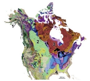 <strong>Which numbered area on this geologic map of North America consists of recently added tectonic terranes? </strong> A)1,southern Alaska B)2,continental platform of west-central Canada C)3,continental shield of eastern Canada D)4,coastal plain along the Gulf Coast of the U.S.
