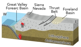 <strong>What geologic setting is expressed by the formation of the Sierra Nevada and adjacent features? </strong> A)a continental collision east of (to the right of)the Sierra Nevada B)an ocean-continent convergent zone C)a continental rifting event east of (to the right of)the Sierra Nevada D)continental rifting west (to the left of)of the Sierra Nevada
