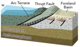 <strong>What geologic events are expressed in this cross section of the western U.S.in late Paleozoic - early Mesozoic time? </strong> A)an old episode of continental rifting that lead to a passive margin B)collision of an island arc with western North America C)oceanic crust and sediment that was thrust onto North America D)a basin formed by the weight of thrust sheets E)all of these