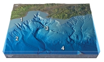 <strong>Which of the numbered features on this figure is a continental shelf? </strong> A)1 B)2 C)3 D)4