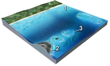 <strong>Which of these numbered features is an atoll? </strong> A)1 B)2 C)3 D)all of these E)none of these