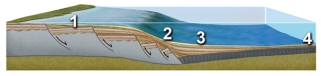 <strong>Which of these numbered features is on the continental slope? </strong> A)1 B)2 C)3 D)4 E)none of these