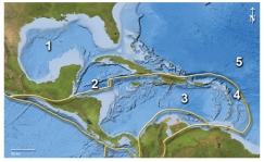 <strong>This map shows plate boundaries in the Caribbean region.Which number is closest to a transform boundary? </strong> A)1 B)2 C)3 D)4 E)5
