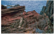 <strong>What type of feature is shown in this photograph of Siccar Point,Scotland? </strong> A)monocline B)thrust fault C)normal fault D)unconformity