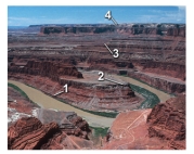 <strong>Which sequence of numbers reflects the order in which the layers were deposited? </strong> A)1,2,3,4 B)1,3,4,2 C)4,3,2,1 D)4,3,1,2 E)none of these
