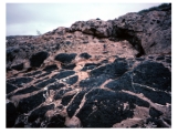<strong>This photograph shows an upper light-colored conglomerate and a lower dark basalt.Which of the following statements is true? </strong> A)the conglomerate is older because it overlies the dark basalt B)the conglomerate is younger because it contains clasts of the dark basalt C)the basalt is younger because it is crosscut by fractures filled with conglomerate D)none of these