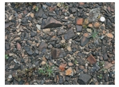 <strong>What kind of geologic feature is shown in this photograph? </strong> A)contact metamorphism B)unconformity C)desert varnish D)desert pavement E)none of these