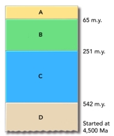 <strong>This figure shows the main subdivisions of the geologic timescale.Which of these is the Mesozoic? </strong> A)A B)B C)C D)D