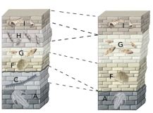 <strong>Why don't these two sequences of fossil-bearing rocks match exactly? </strong> A)they represent different parts of geologic time B)one section was tilted but not the other C)they have different histories of erosion and deposition D)one represents a transgression whereas the other represents a regression