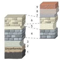 <strong>This figure shows two sections of rocks.What is the youngest unit? </strong> A)unit 1 B)unit 4 C)unit 6 D)unit 9 E)none of these