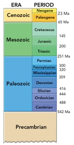 <strong>This figure shows the geologic timescale.Which period listed below would be part of the Paleozoic? </strong> A)Permian B)Pennsylvanian C)Mississippian D)Cambrian E)all of these