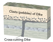 <strong>How would we use isotopic ages to infer the ages of the upper and lower unit in this diagram? </strong> A)The lower unit would be younger than an age on the crosscutting dike. B)The upper unit would be older than an age determined on pebbles of the dike in that unit. C)The dike is younger than the lower unit but older than the upper unit. D)An age on the dike would not help us because it is an igneous rock.